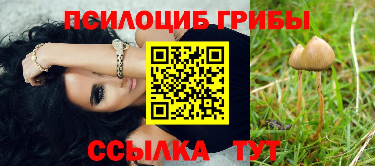 Псилоцибиновые грибы прущие грибы  Вход с VPN  Добрянка 